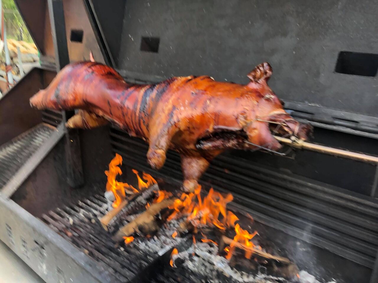 Zwijntje op de bbq aan spit