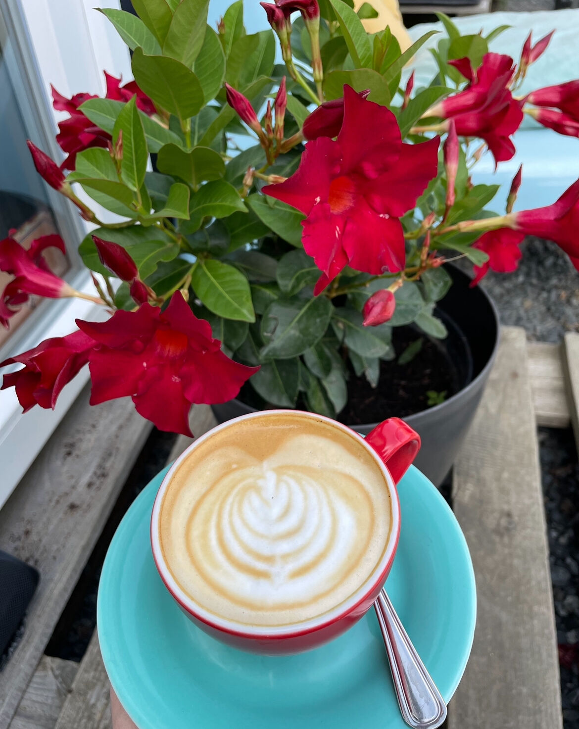 Výběrová káva - Candycane