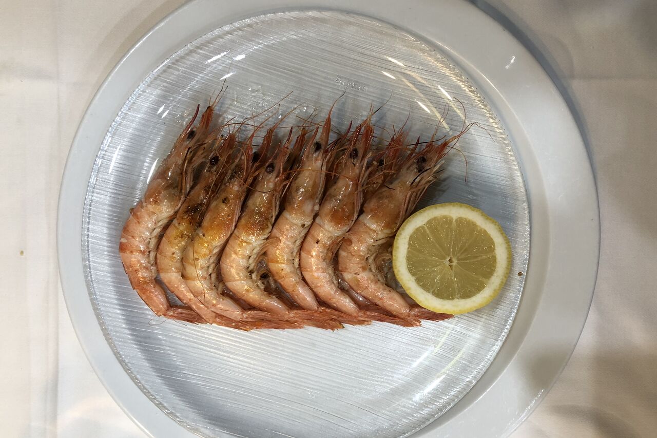 Gamba fresca
