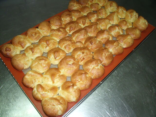 Choux maisons pour nos profiteroles 