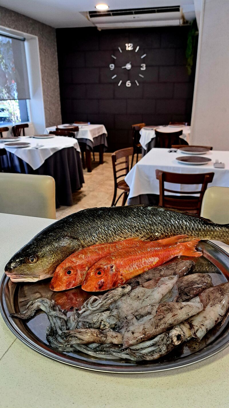 Corvina, salmonetes y calamar de bahía 