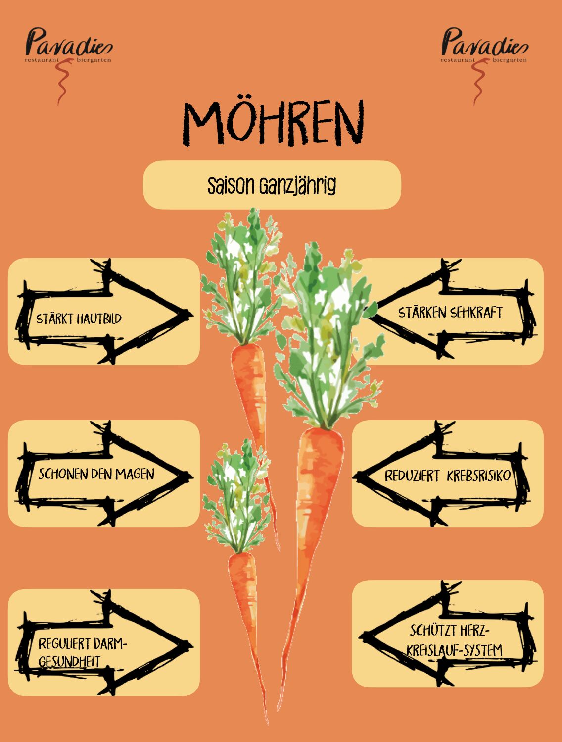 Der Star des Februars: Möhren. Fakten von Herkunft über Pflanzung bis hin zur gesunden Wirkung findet Ihr unter „über uns“