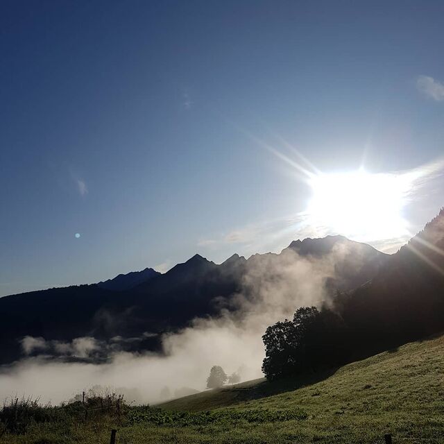 Ne jamais se lasser de ce qu'on voit et nous entoure
