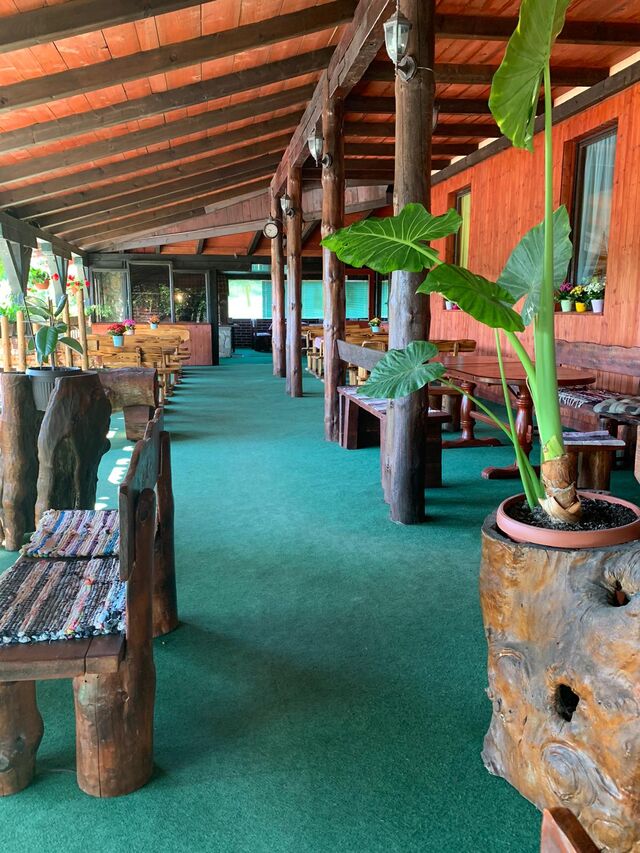 Naša terasa okružena zelenilom