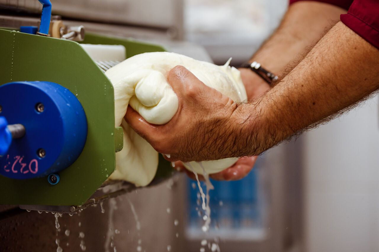 Caseificio autentico