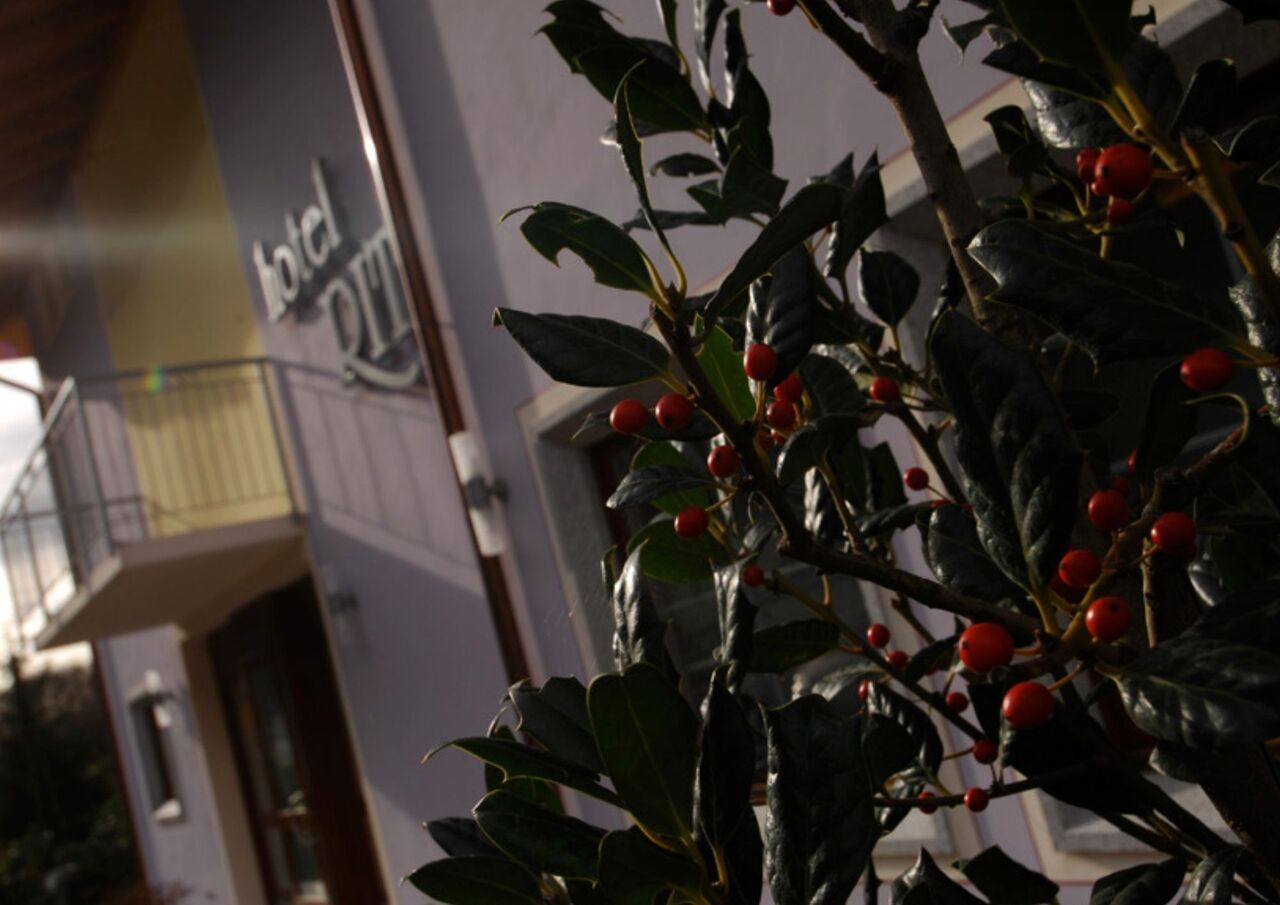 Hotel Da Rita. Il giardino e gli esterni