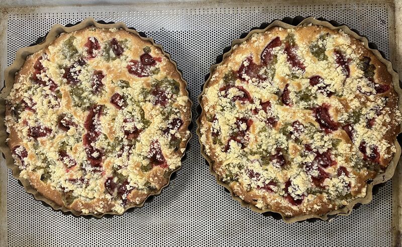 Rebarborové koláče