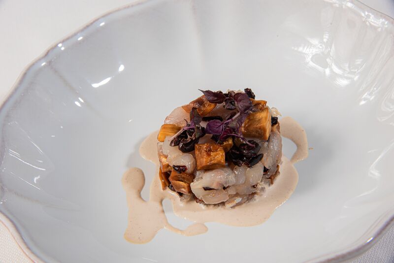 Gallinella Sottobosco