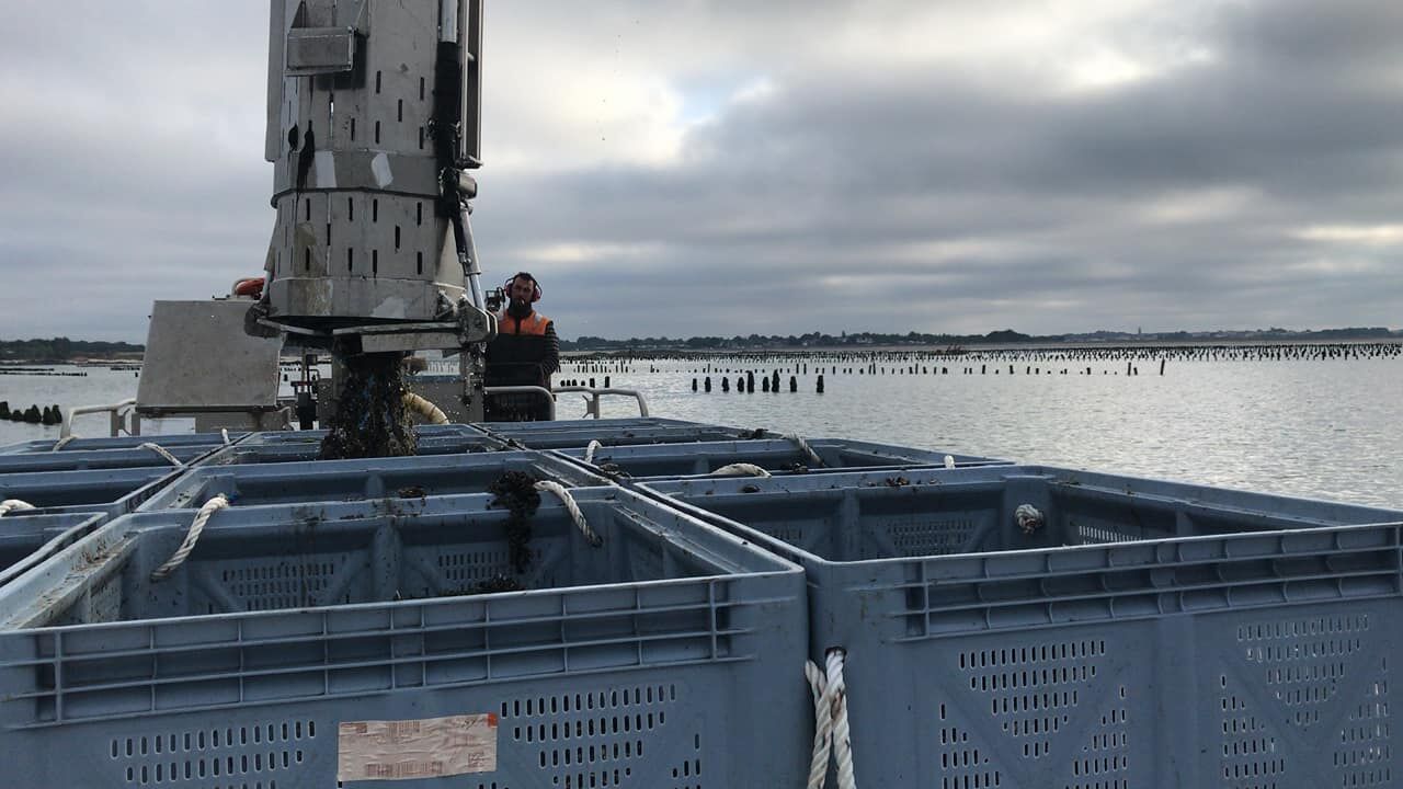 Sur le pont, prêt pour la pêche.