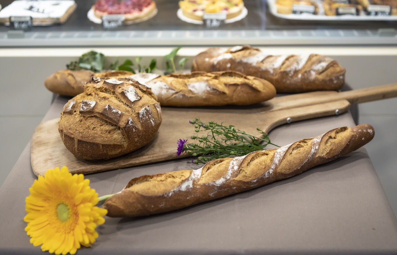Pain et baguette rustique