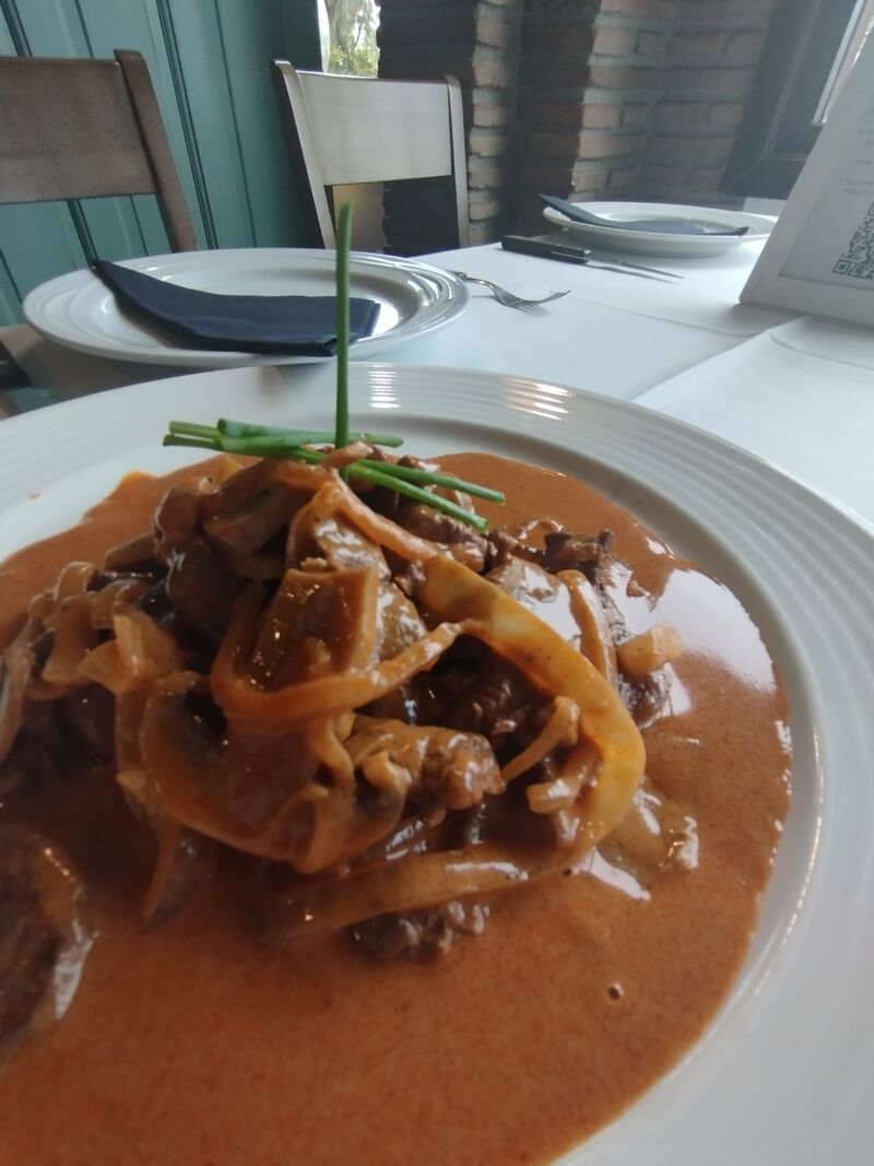 SOLOMILLO STROGONOFF