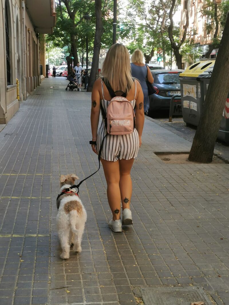 Vamos de paseo Elliott 