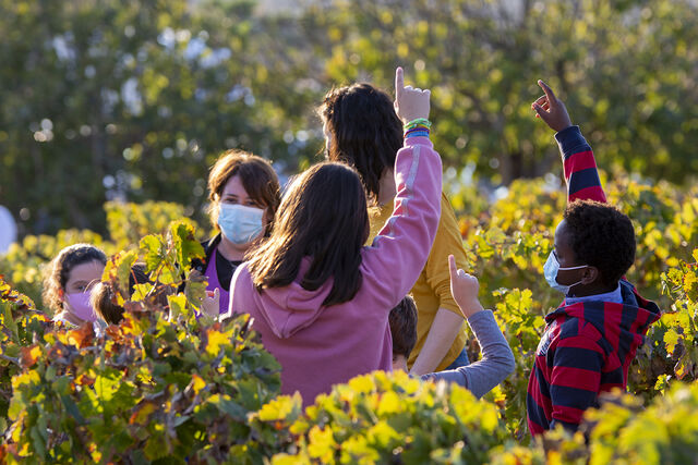 Taller infantil en Viña la Constancia