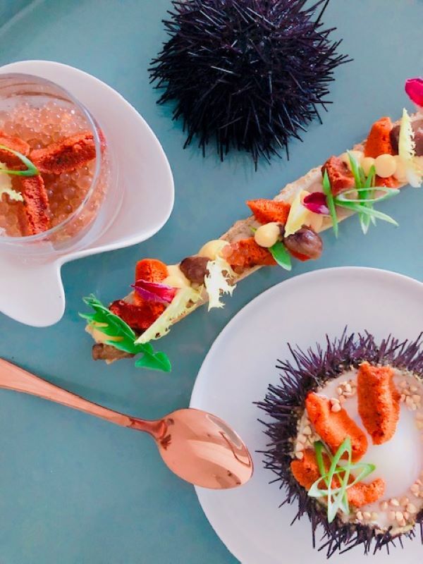 Œuf à 64°C, oursins, émulsion châtaignes/café, perles iodées et jeunes pousses.