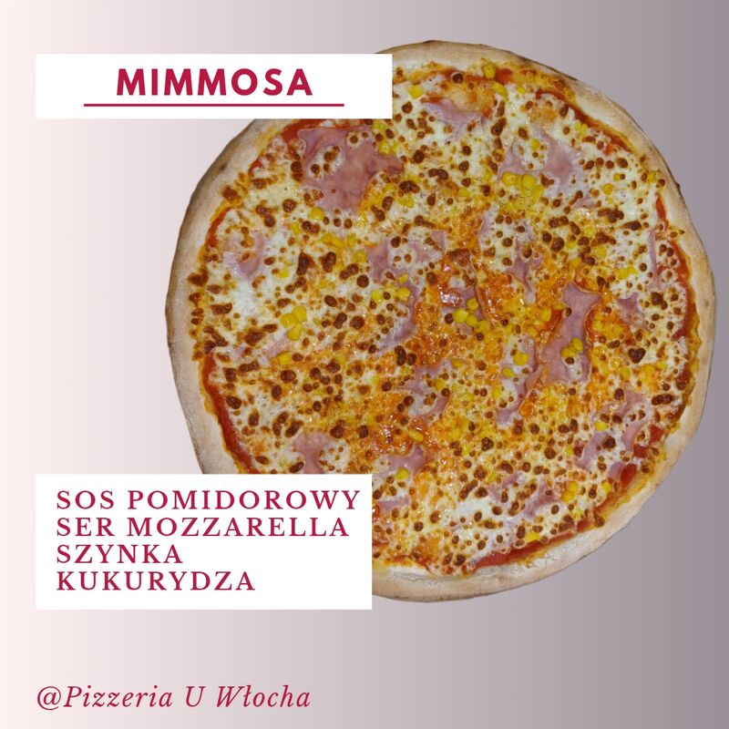 MIMMOSA