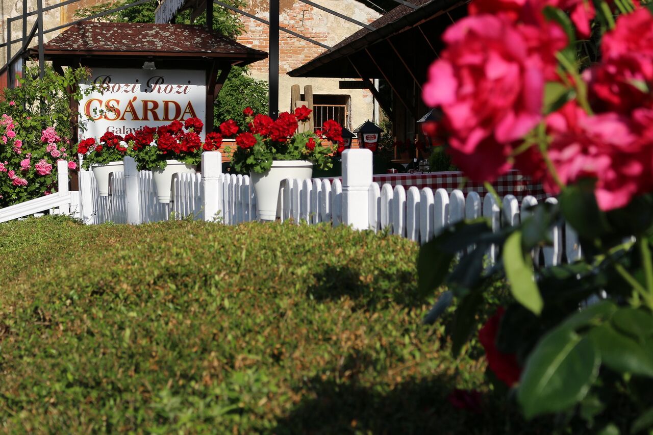 Üdvözöljük Kedves Látogatóinkat!