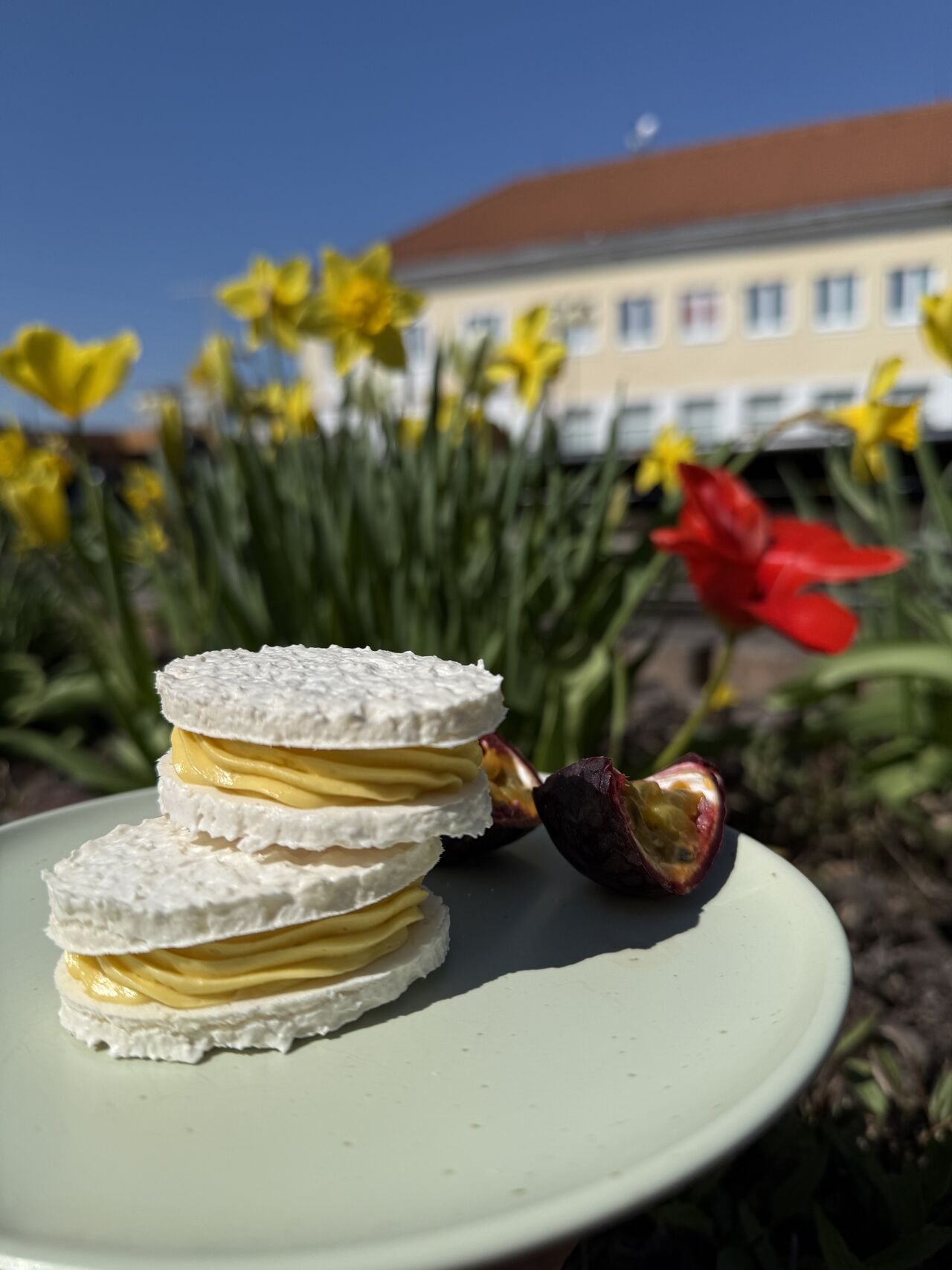 Kokosová laskonka mango-marakuja