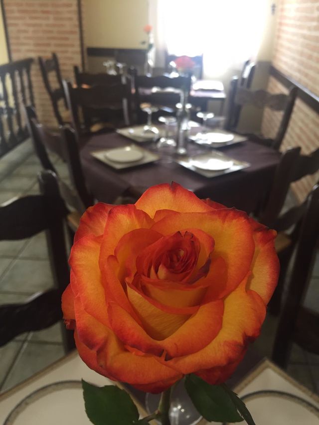Rosas