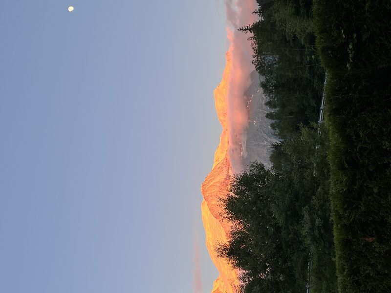 Vue de la terrasse