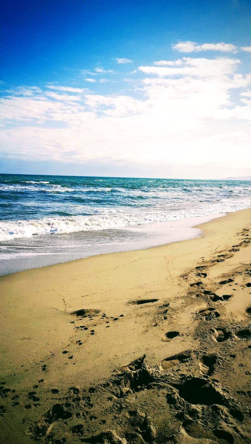 Canet Sud - Plage