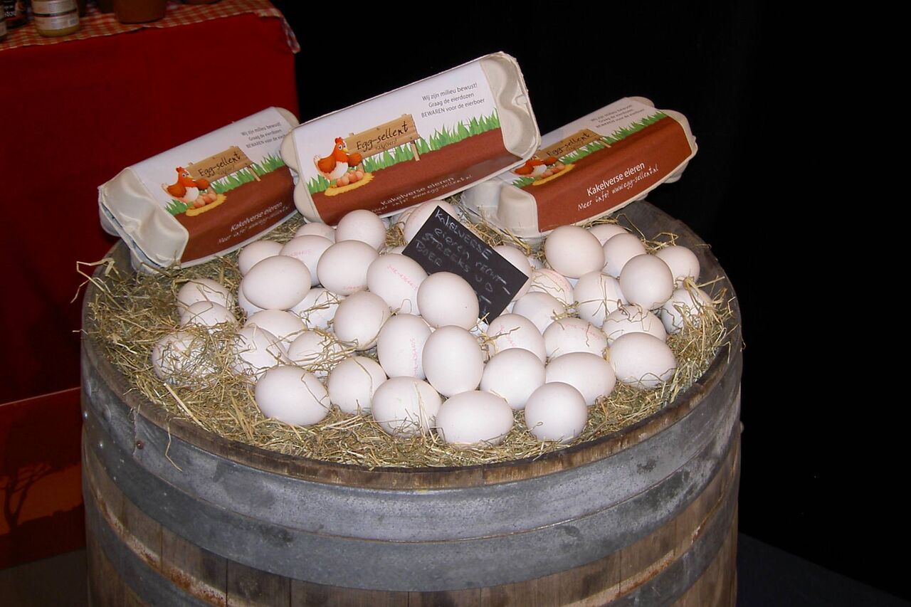 Kakelverse eieren