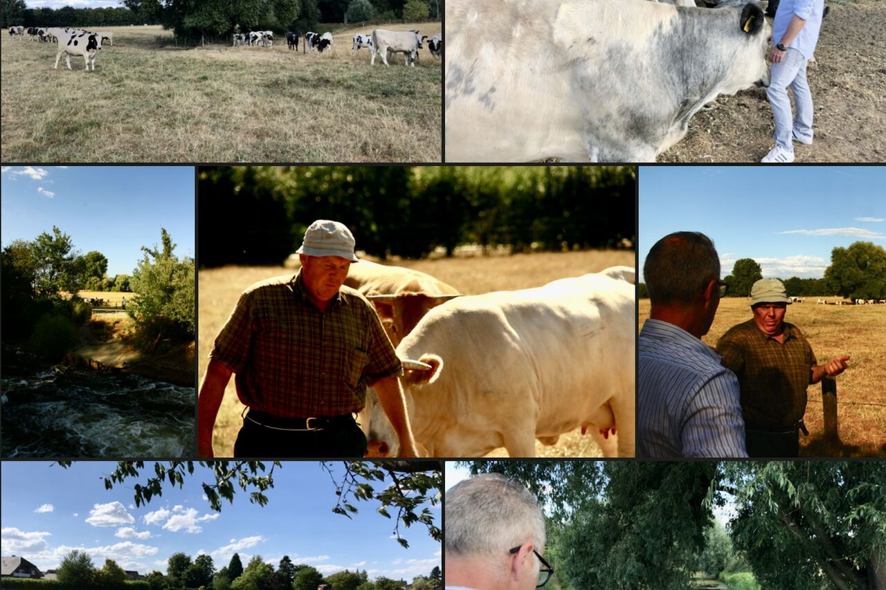 Fleisch aus "Artgerechte Tierhaltung"
