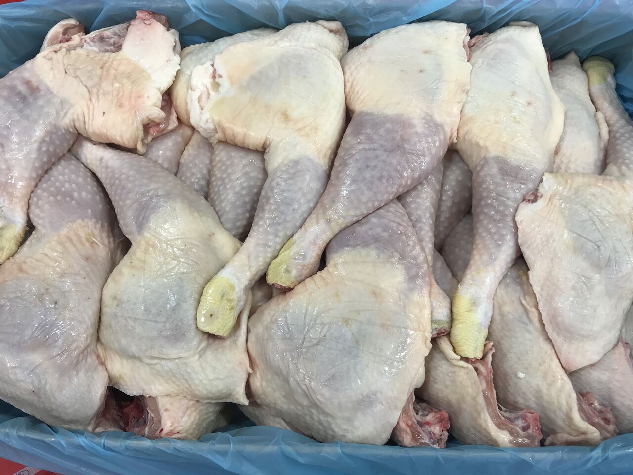 10 kg
Cuisse de poulet
15€99