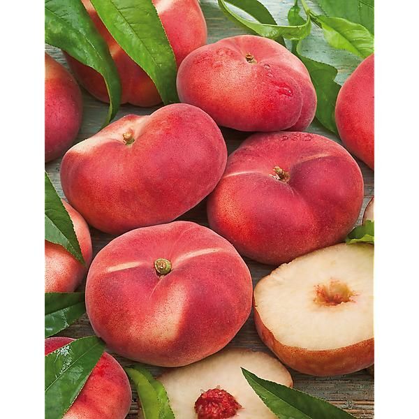 Pêche plate blanche - 2,41€/kg