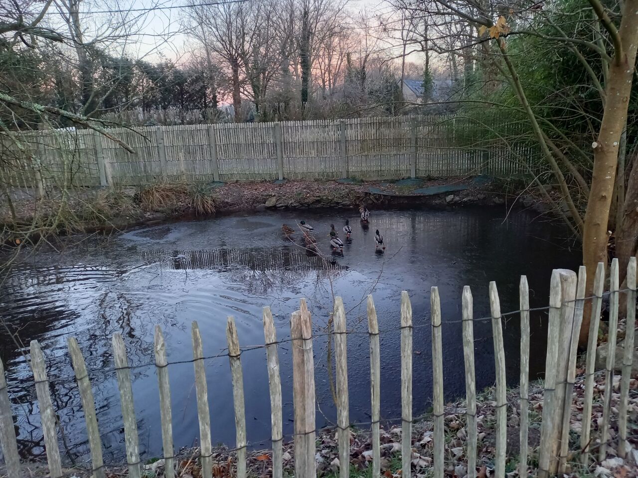 tout cela au plus près de la nature briéronne
