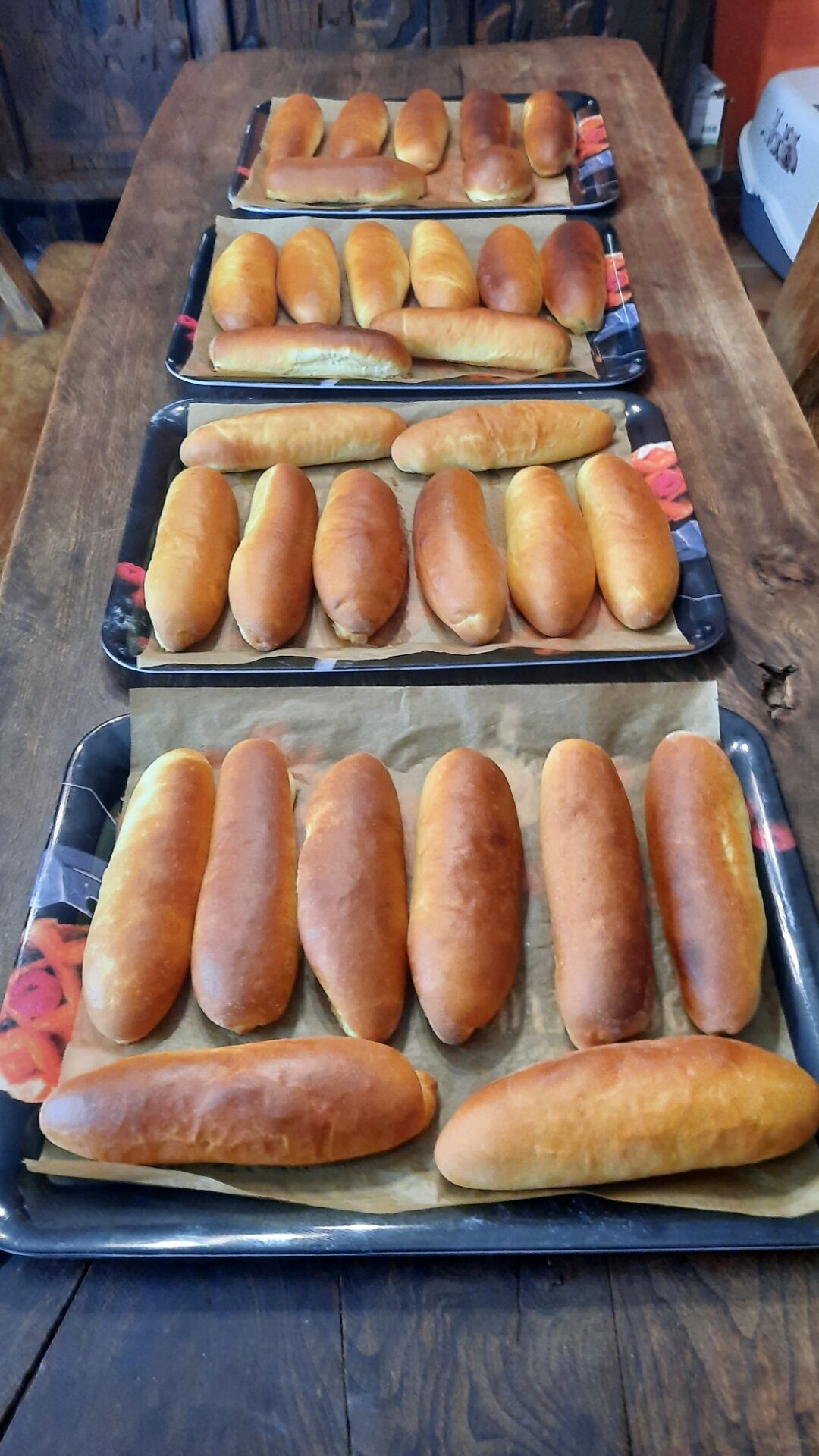 Hot-dogs artisanal 🤪🤪