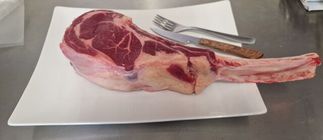 TOMAHAWK SCOZIA