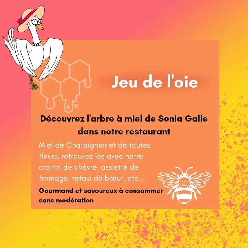 Miel BIO de saint pierre de rivière'