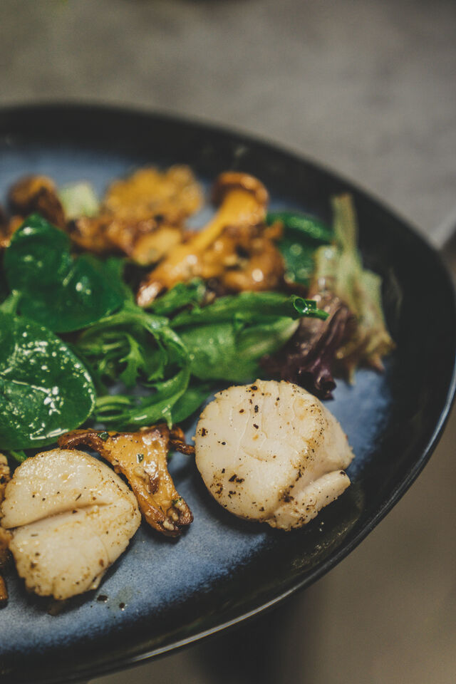 st-jacques aux girolles