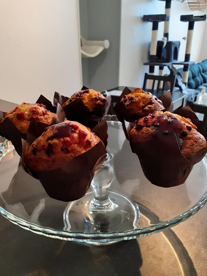 venez découvrir le maxi muffin Myrtille à la carte cette semaine et la semaine prochaine
le 1/9/2020