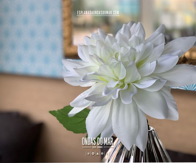 Interior Ondas do Mar.
esplanadaondasdomar.com