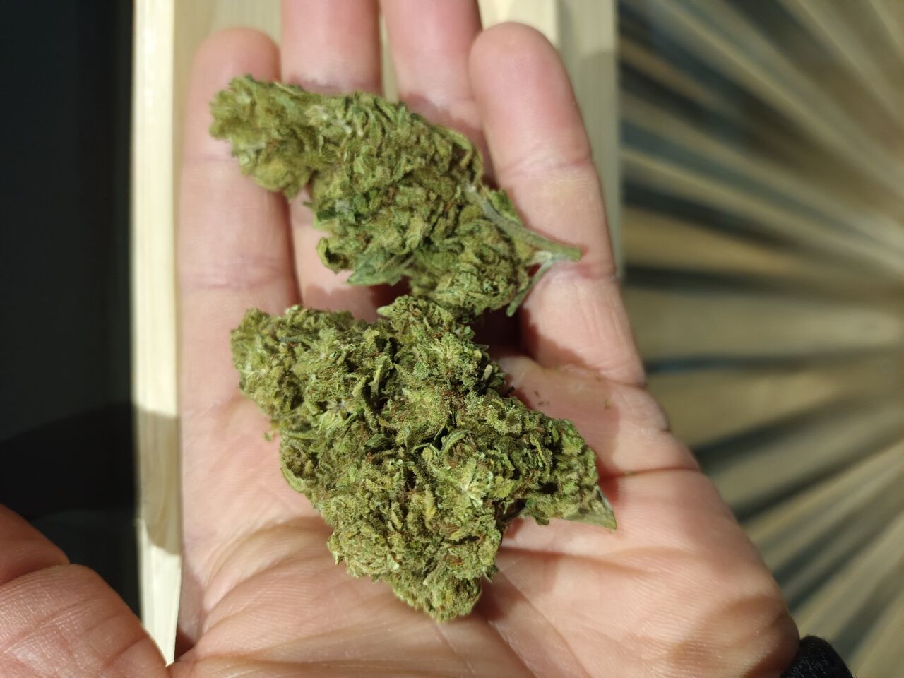 promo !!!!! Fleur a 5€ le gr 