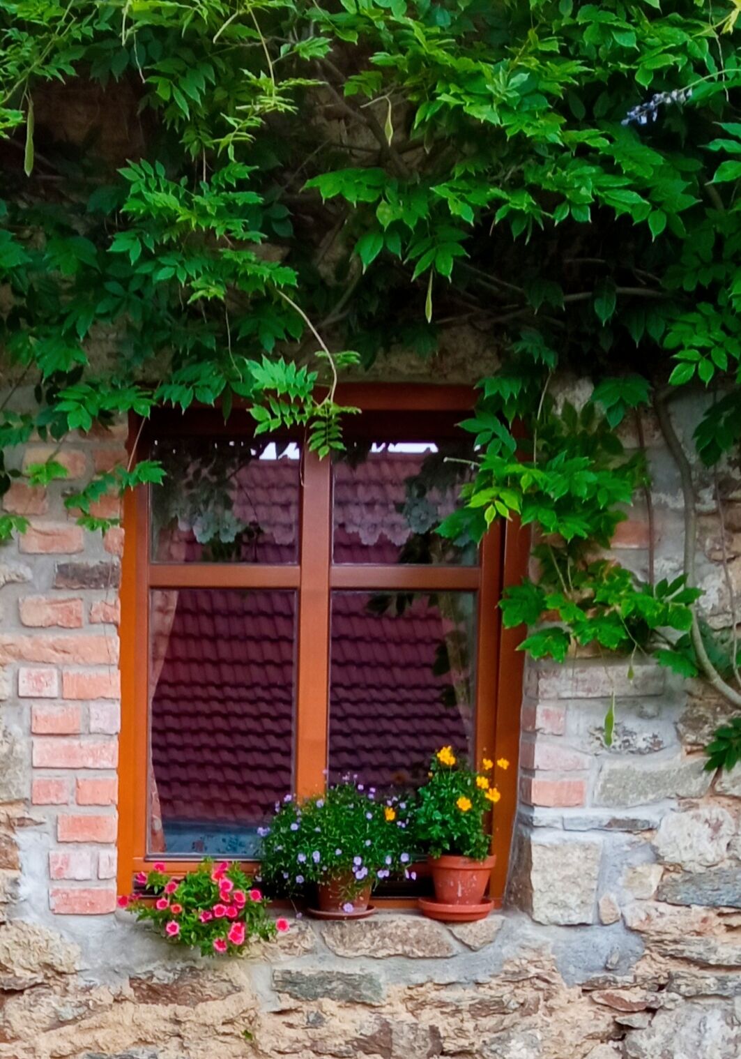 apartmán - okno do dvora