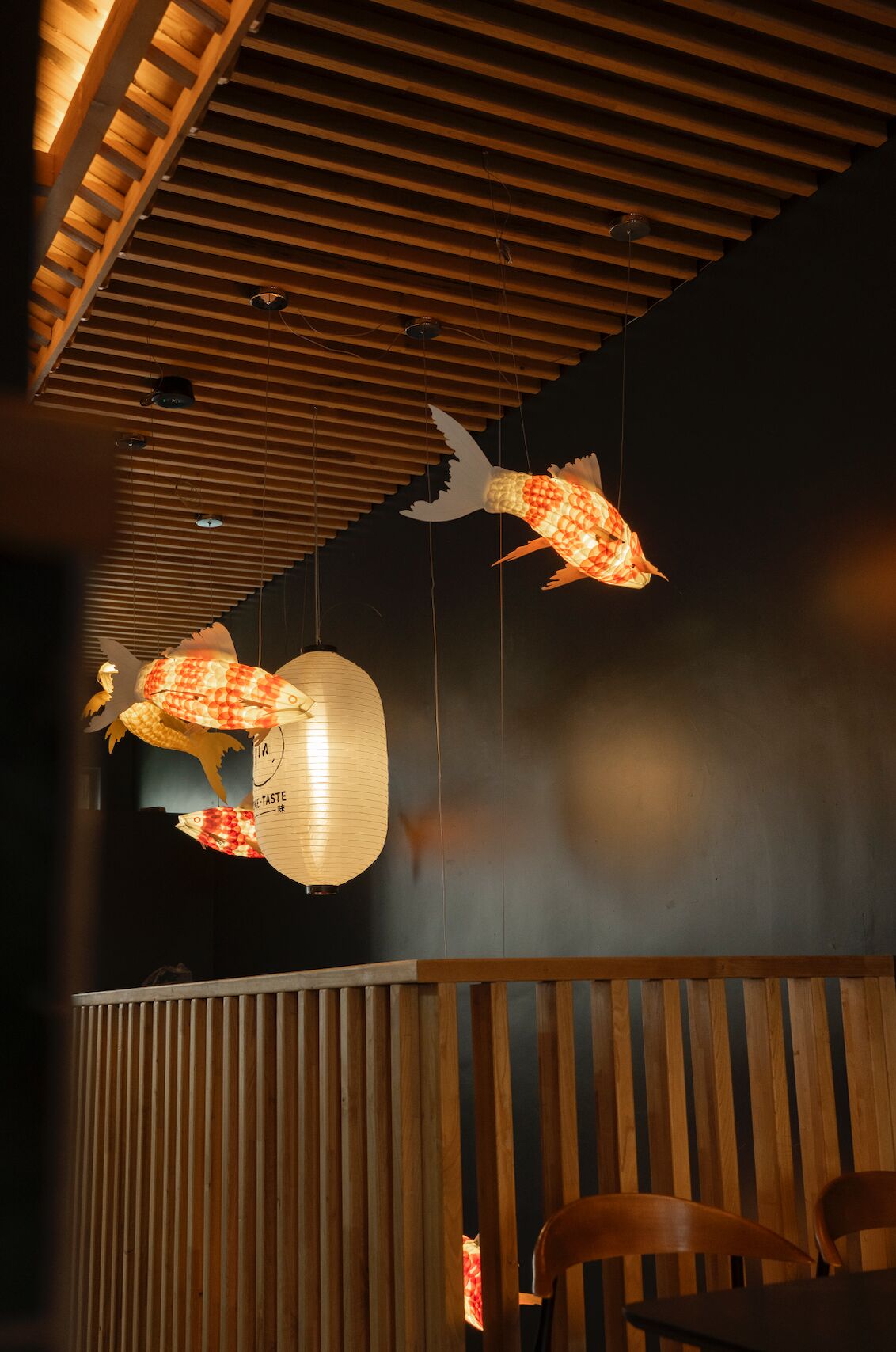 Ein Spaziergang nach oben – begleitet von unserem Glücksbringer Koi