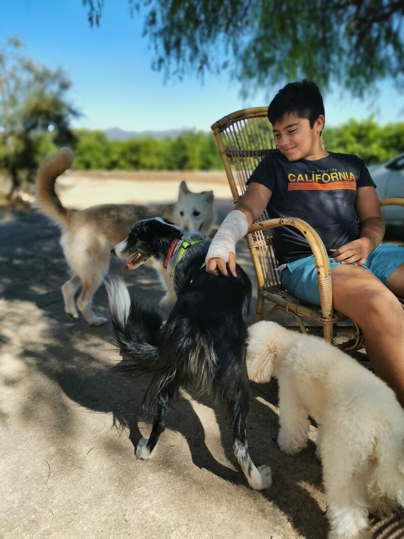Paseo de Campo con Mota y Davinci 