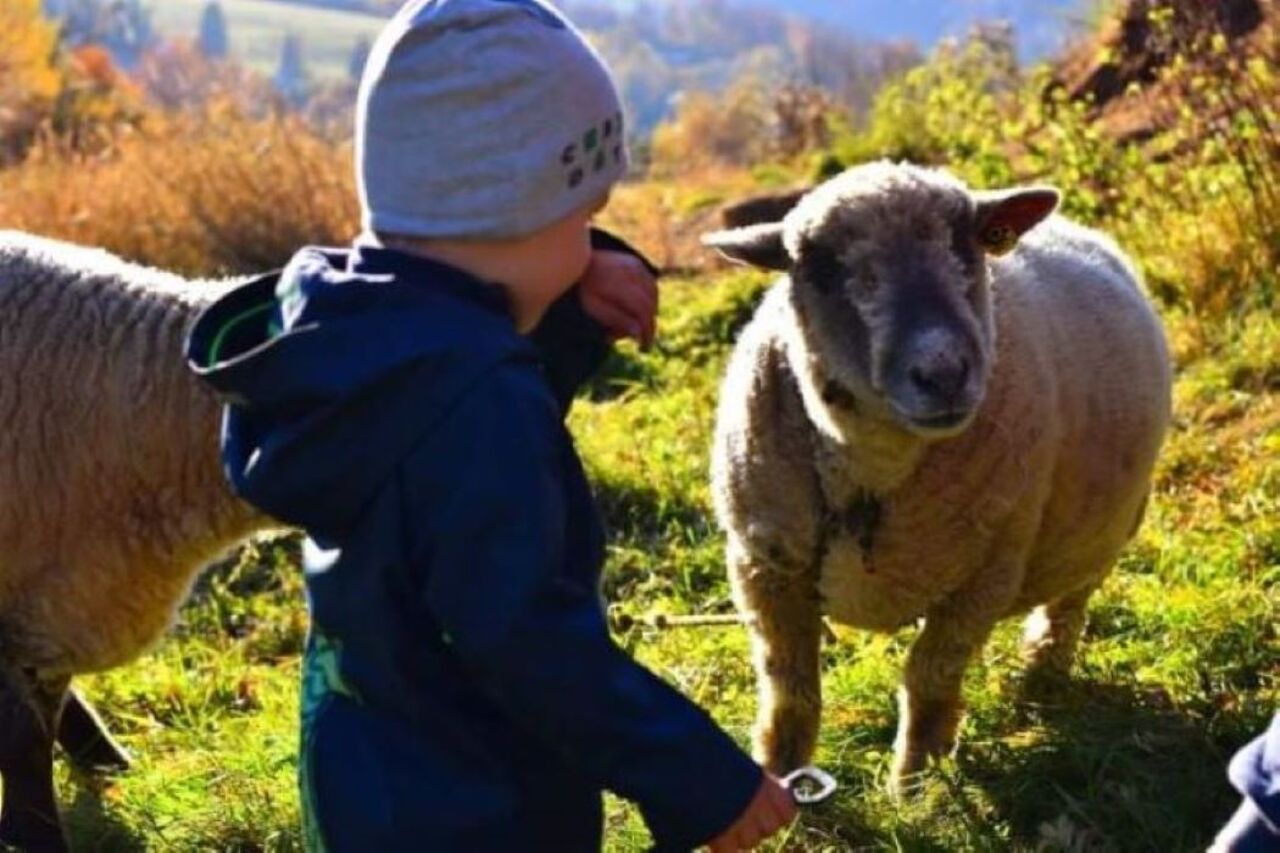 Návštěva „Mini Ovčínu“