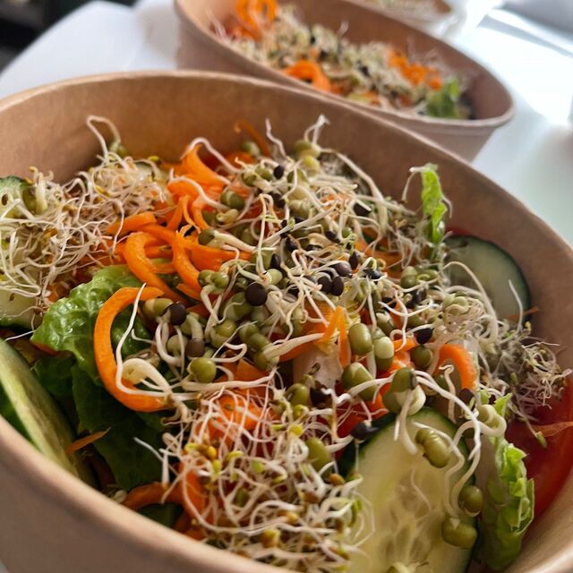 Rohkostsprossensalat