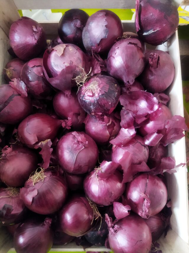 Oignons rouges 1.05 kg