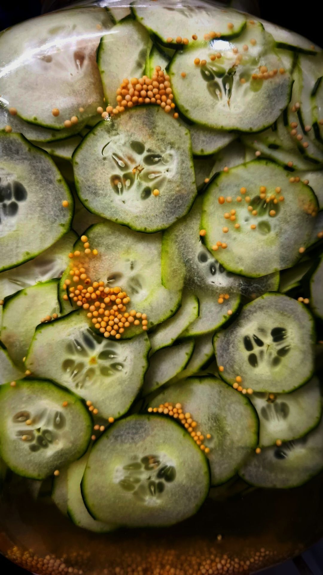 Pepino encurtido casero