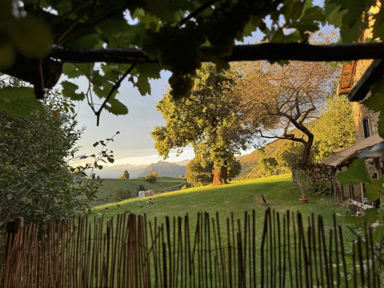 Battesimo - Comunione - Cresima