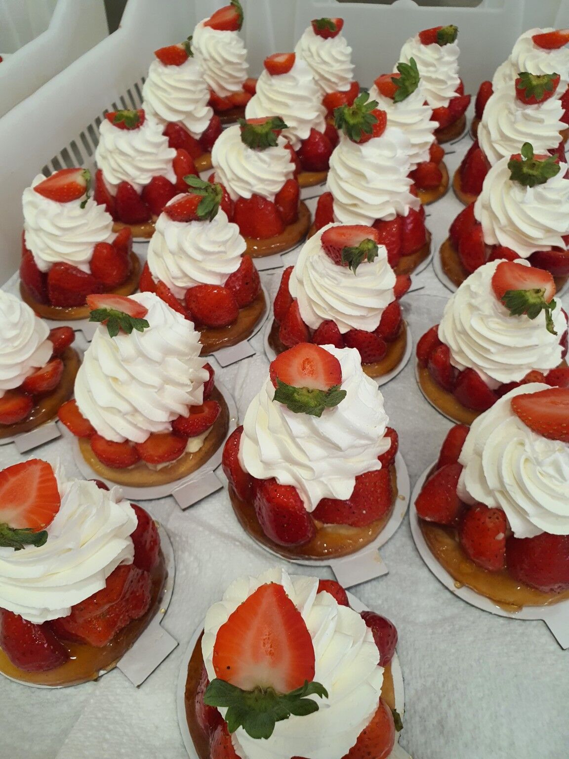 Tartelette Fraise Chantilly Vanille