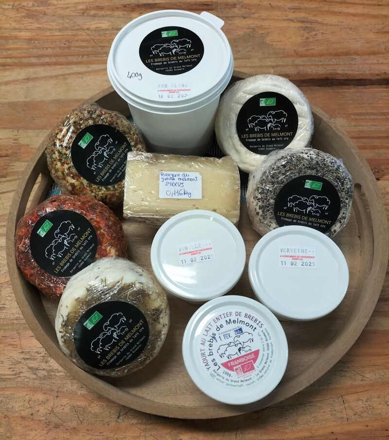 Les brebis de Melmont