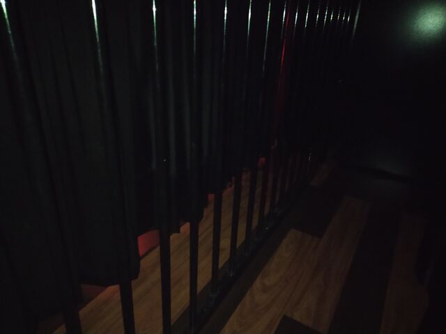 ZONA PAREJAS: CUARTO OSCURO: BARROTES