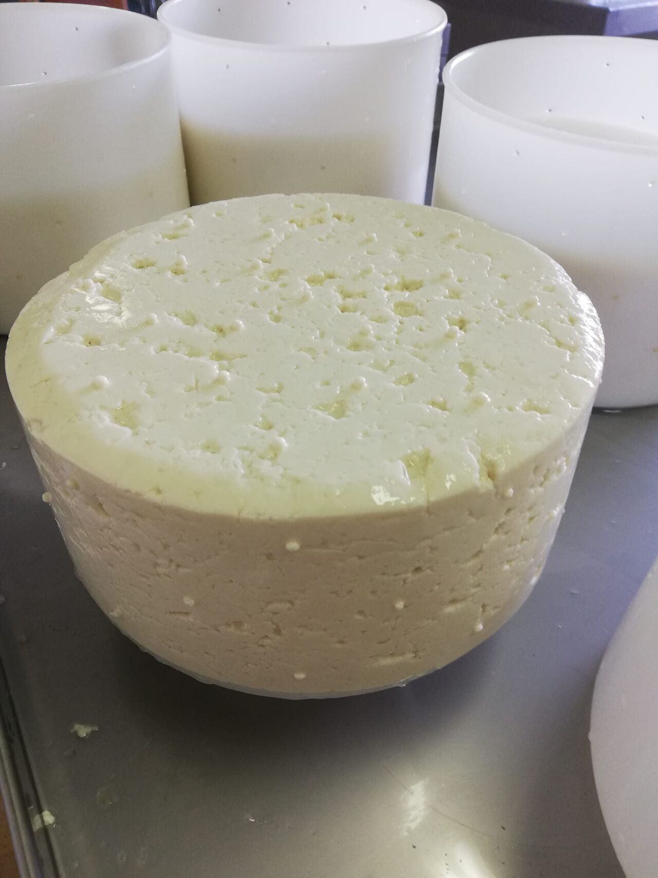 LA TOMME DE CHEVRE FRAICHE