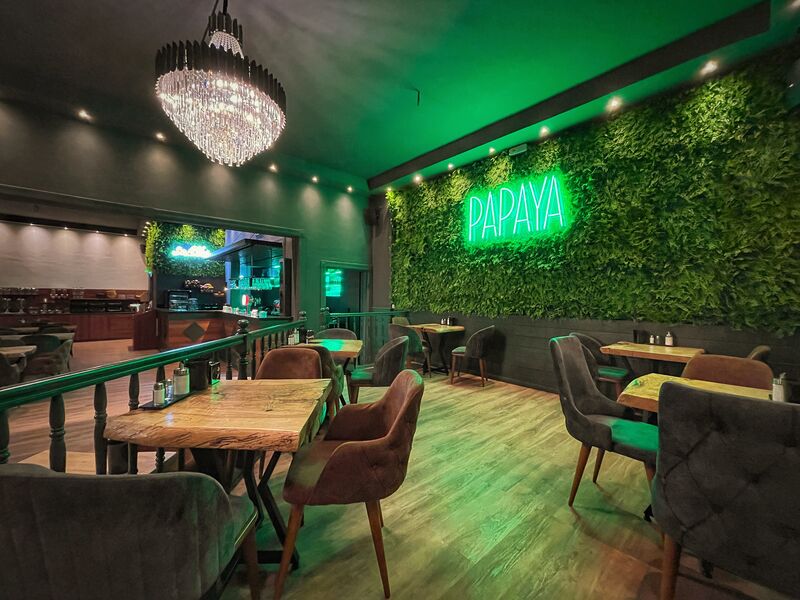 Papaya Restaurant رستوران ایرانی Hamburg Persian cuisine near me