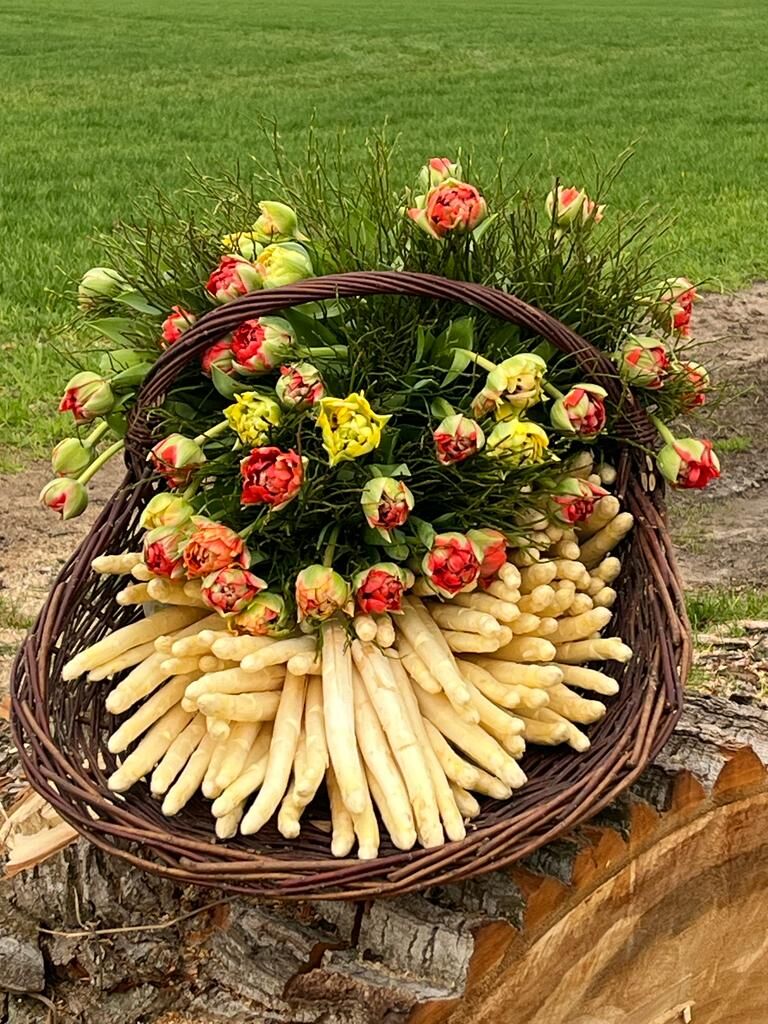 Spargel aus eigenem Anbau